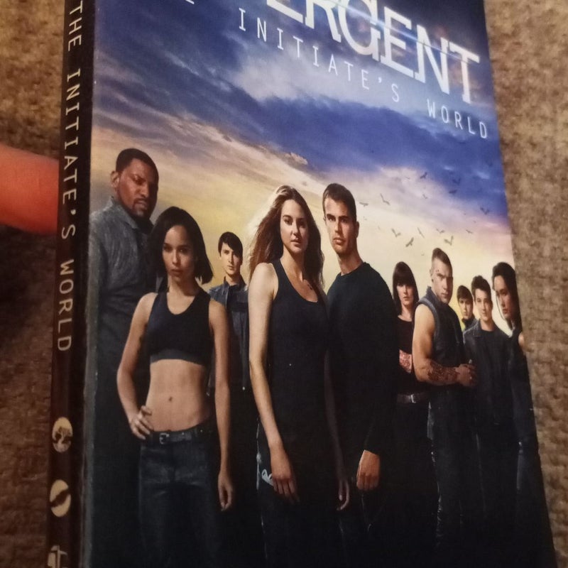 Inside Divergent: the Initiate's World