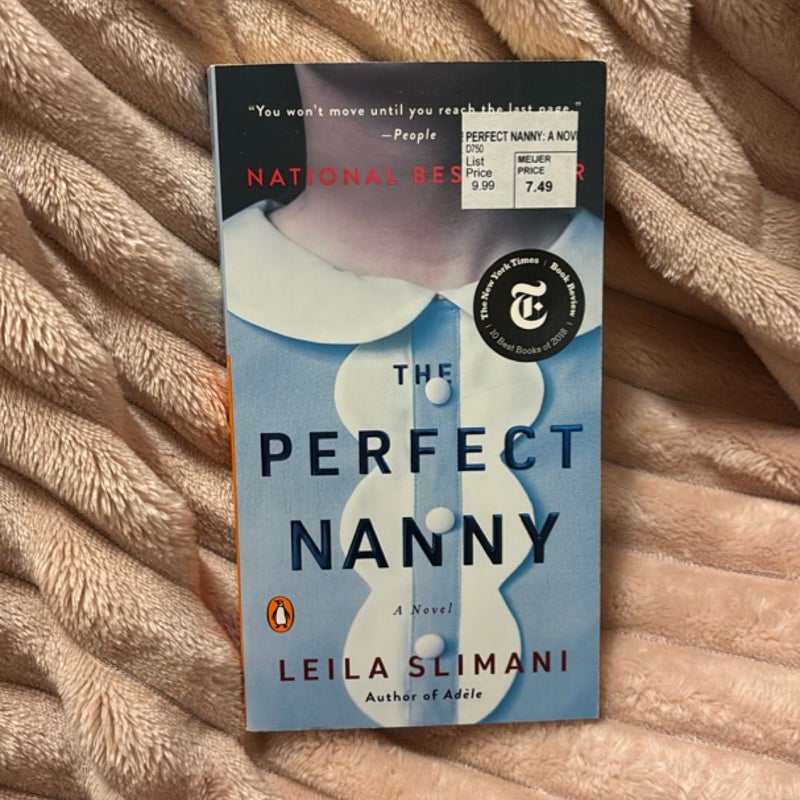 The Perfect Nanny