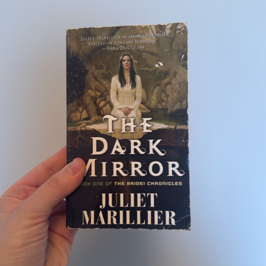 The Dark Mirror
