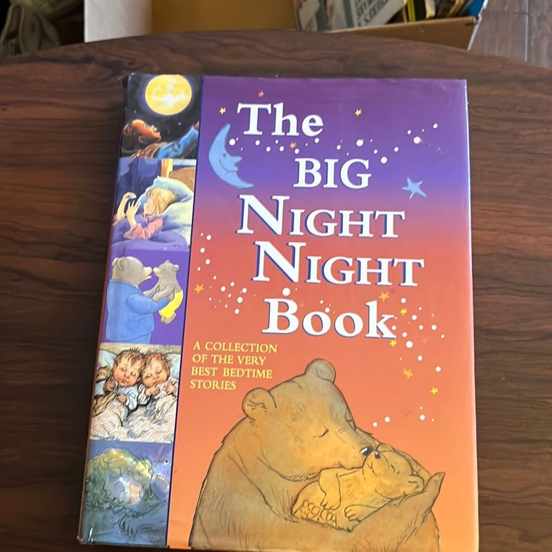 The Big Night Night Book