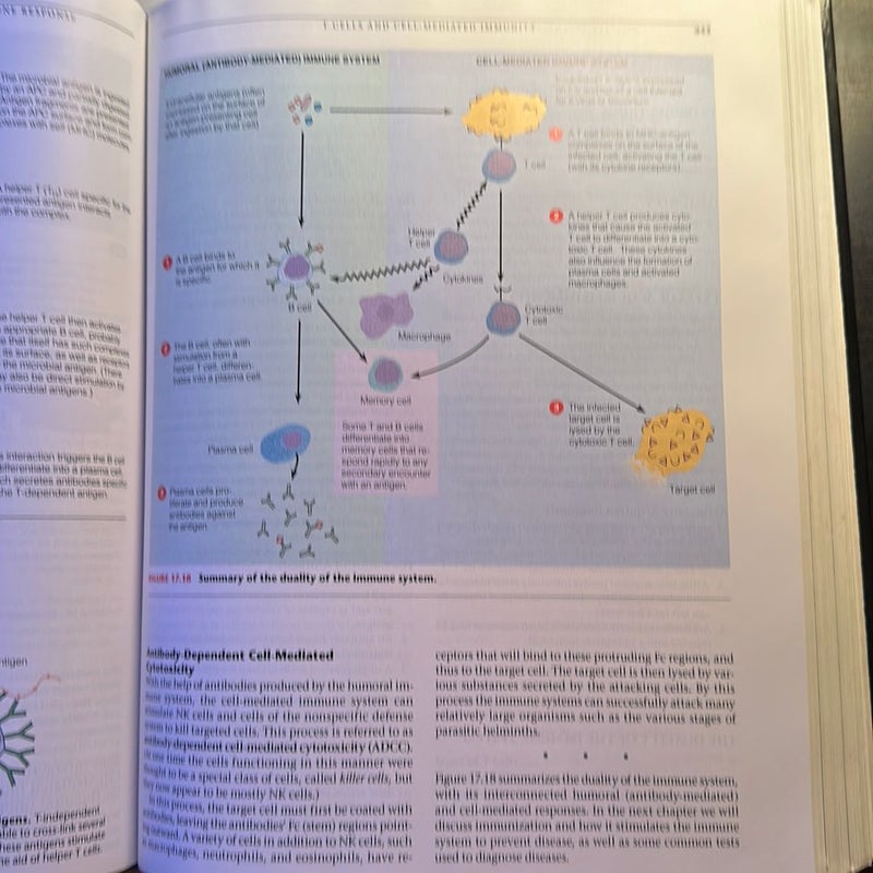 Microbiology