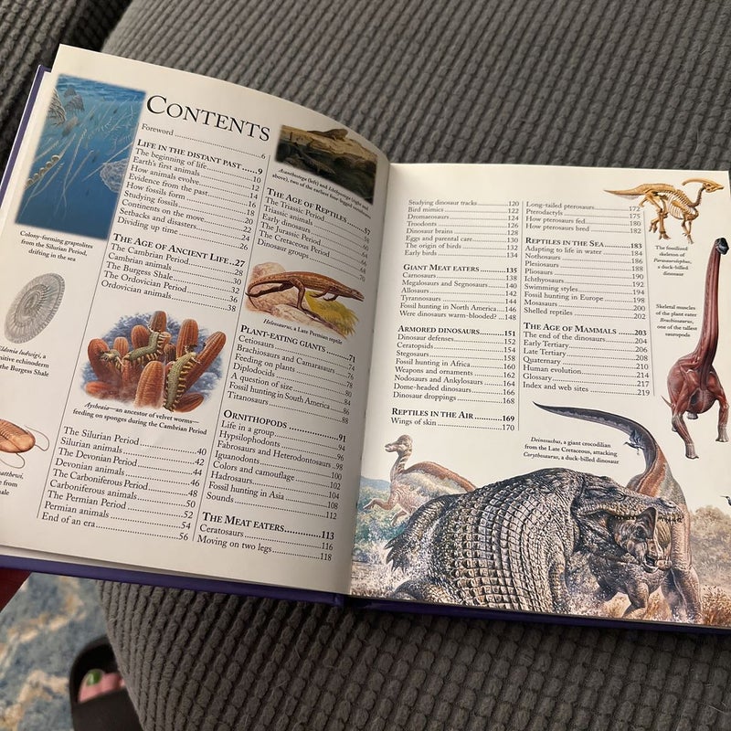 The Concise Dinosaur Encyclopedia