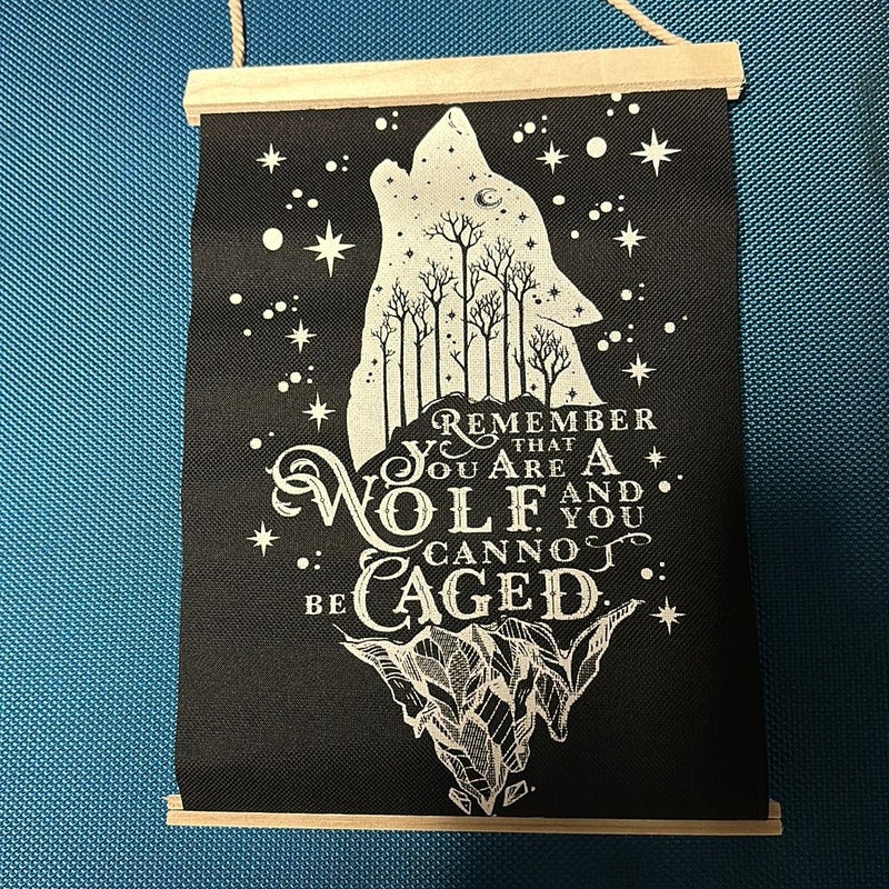 Owlcrate quote hanging 