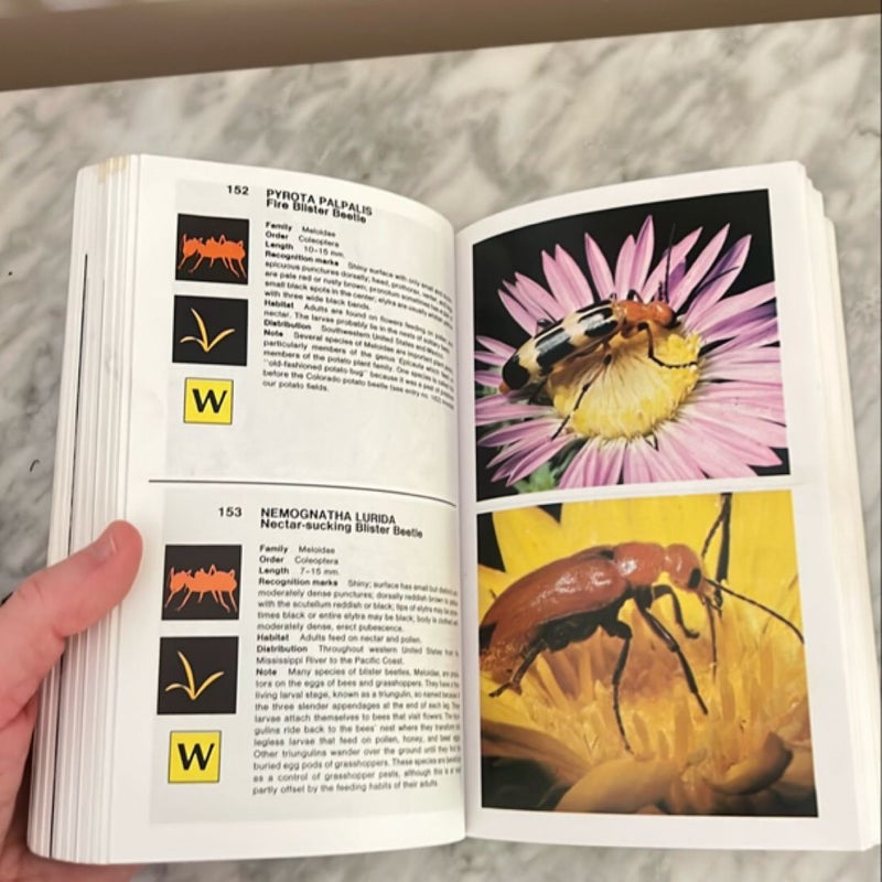 Simon and Schuster's Guide to Insects