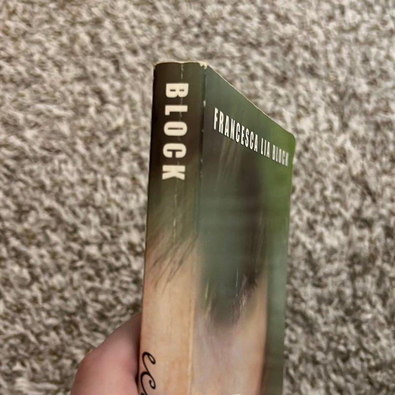 echo-by-francesca-lia-block-paperback-pangobooks