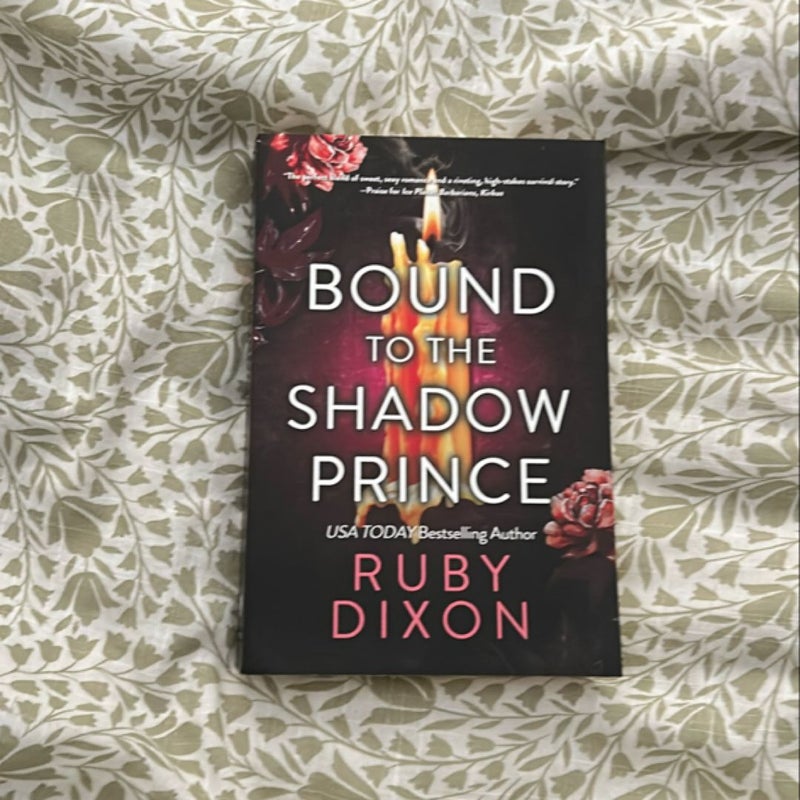 Bound to the Shadow Prince