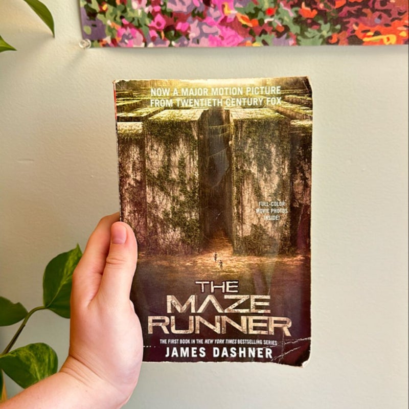 The Maze Runner