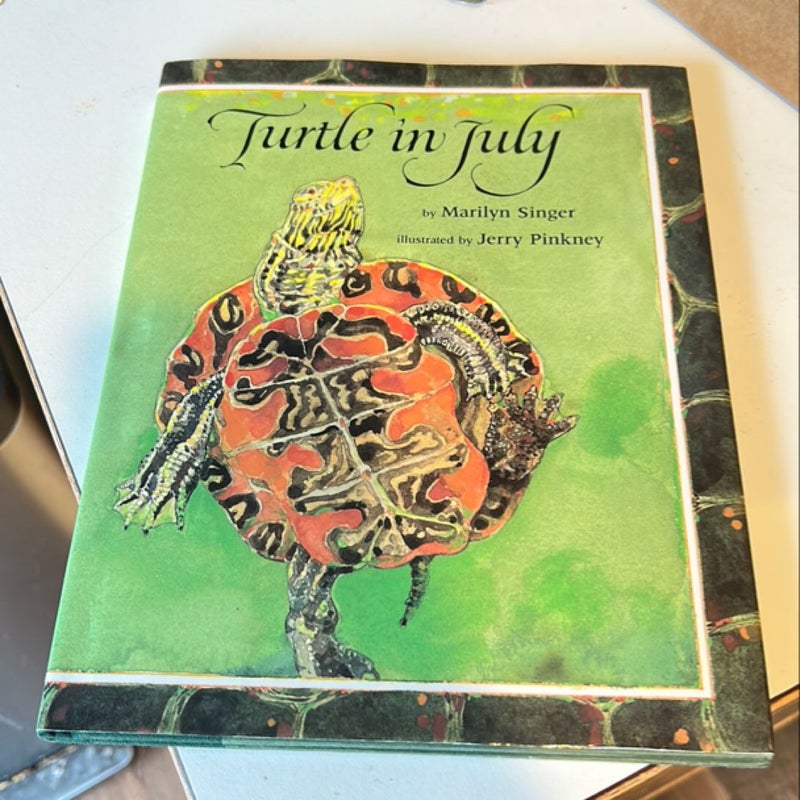 Turtle in July