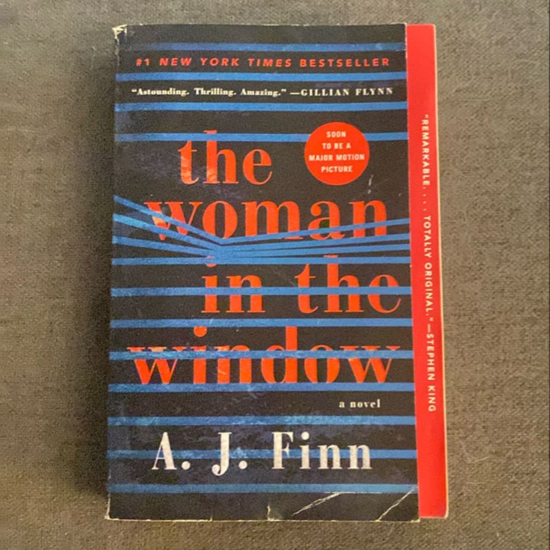 The Woman in the Window