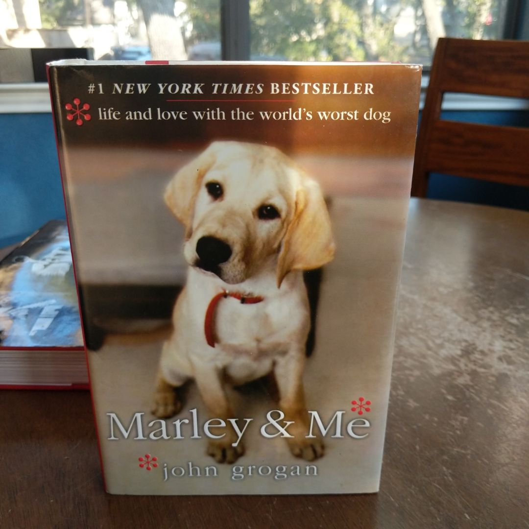 Sale image for 84fb7e2c-fc80-4242-a9c7-8b4a8dc5bbb8-Oy4uvXvZSac1JmiHaMetUi1zecb2