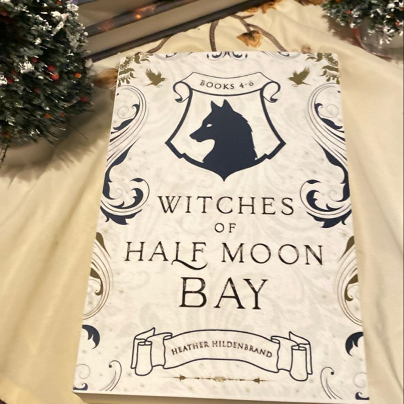 Witches of Half Moon Bay Series: Books 4-6 (a Witch's Soul, a Witch's Prophecy, a Witch's Hope)