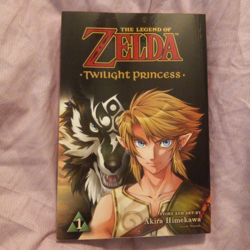 The Legend of Zelda: Twilight Princess, Vol. 1