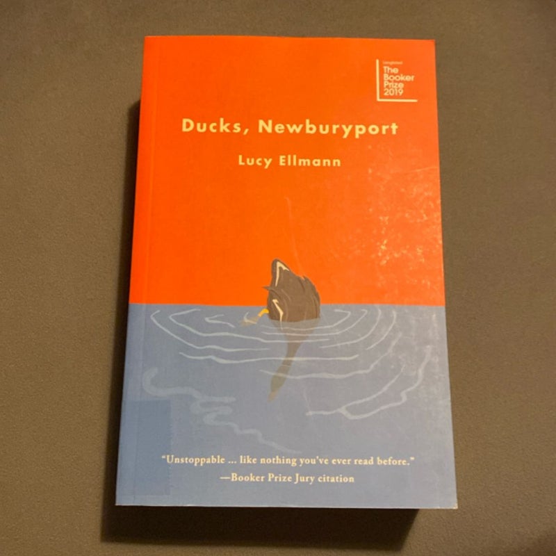 Ducks, Newburyport