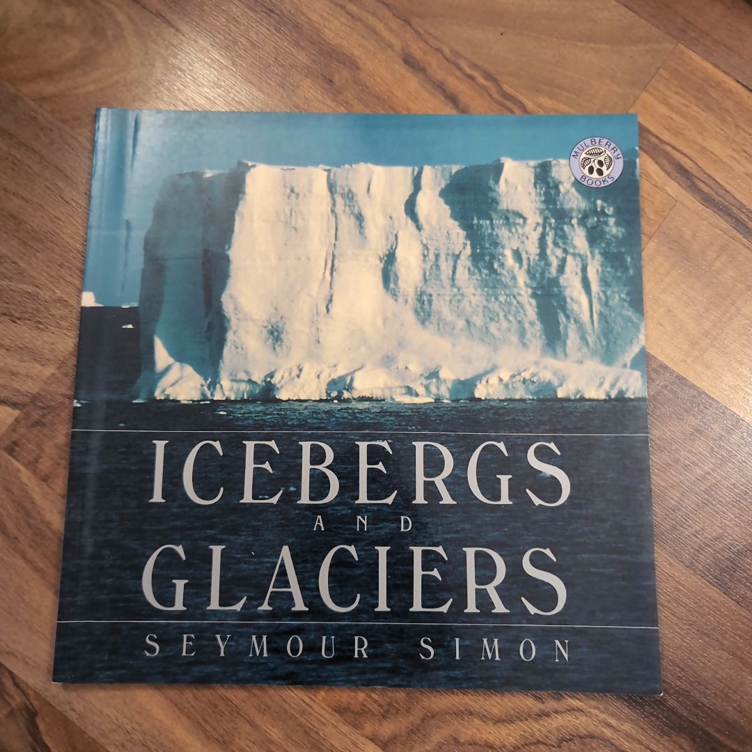 Icebergs and Glaciers