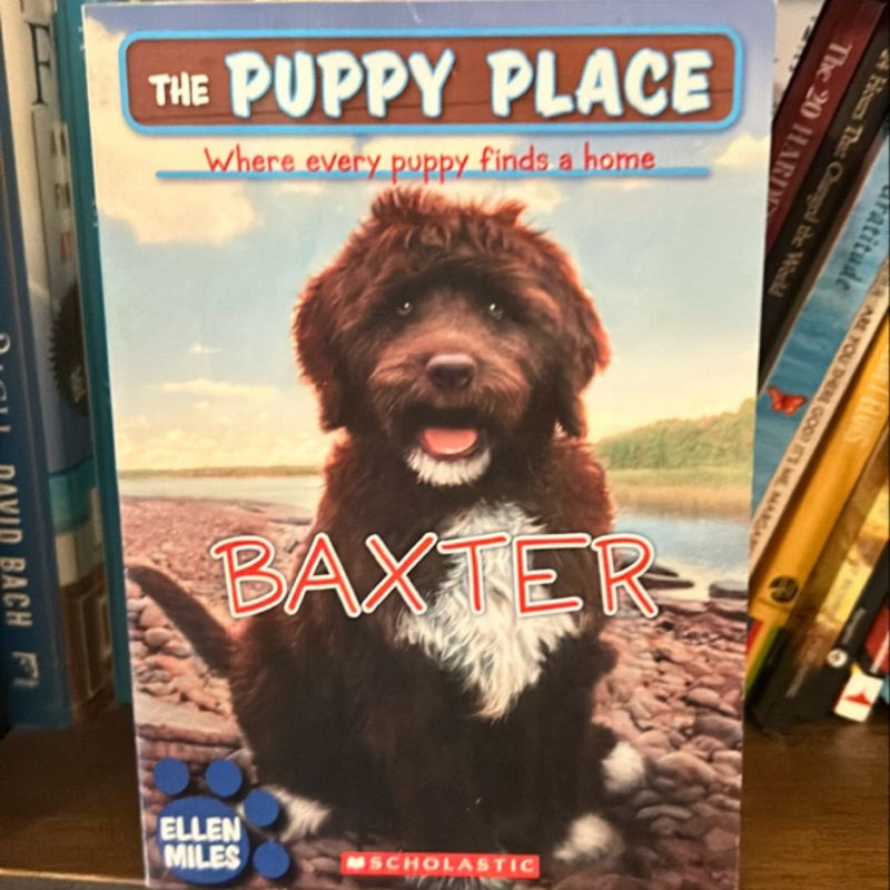 Bundle of Puppy Place books