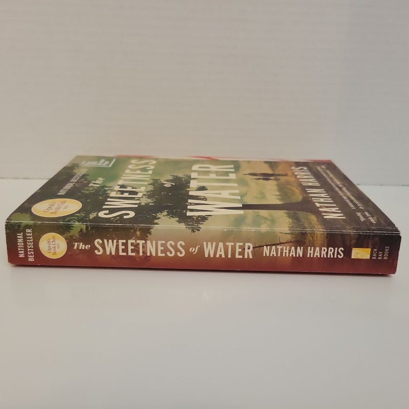 The Sweetness of Water (Oprah's Book Club)