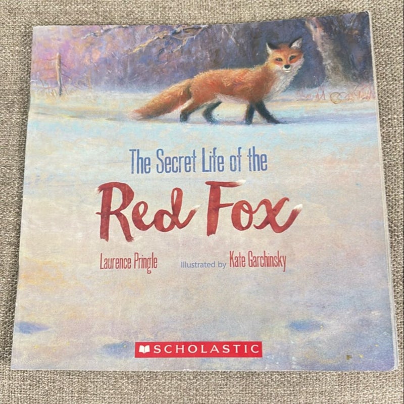 The secret life of the red fox