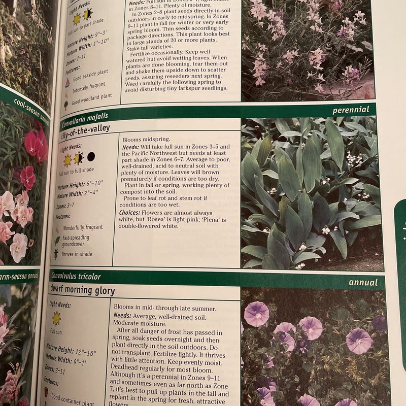 Flower Gardening 1-2-3