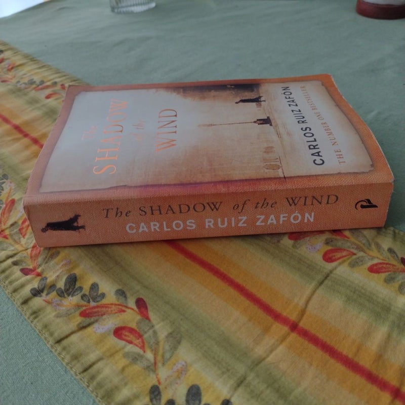 The Shadow of the Wind