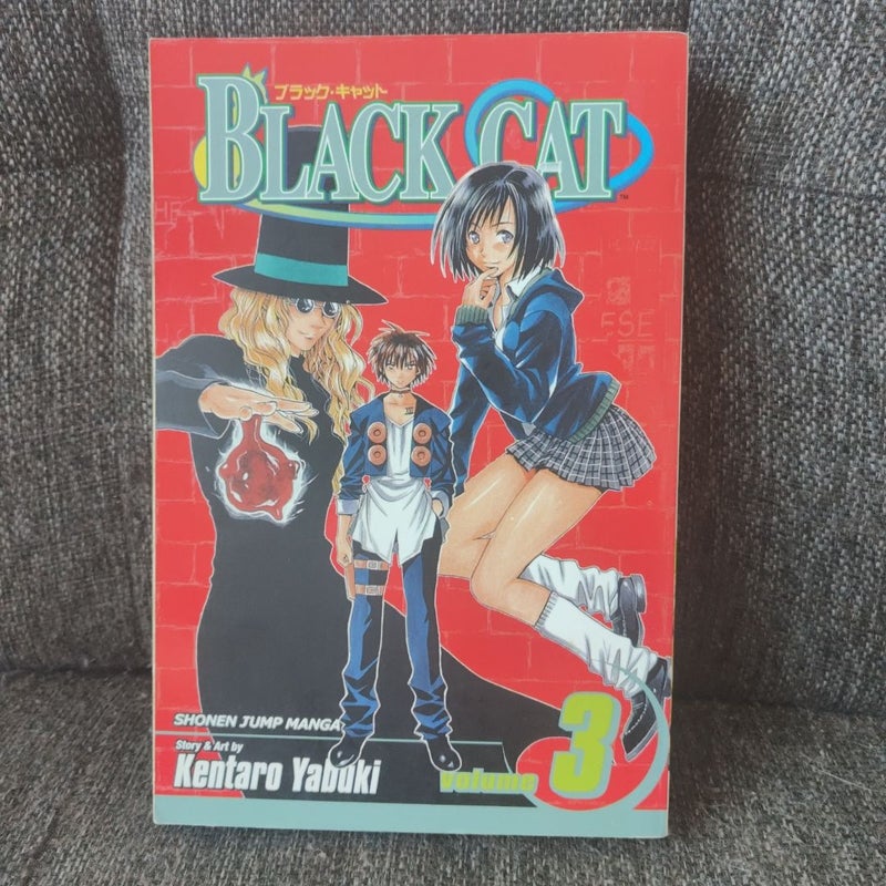 Black Cat, Vol. 3