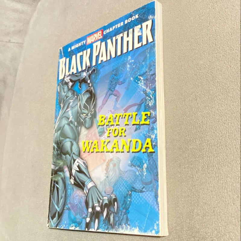 Black Panther: the Battle for Wakanda