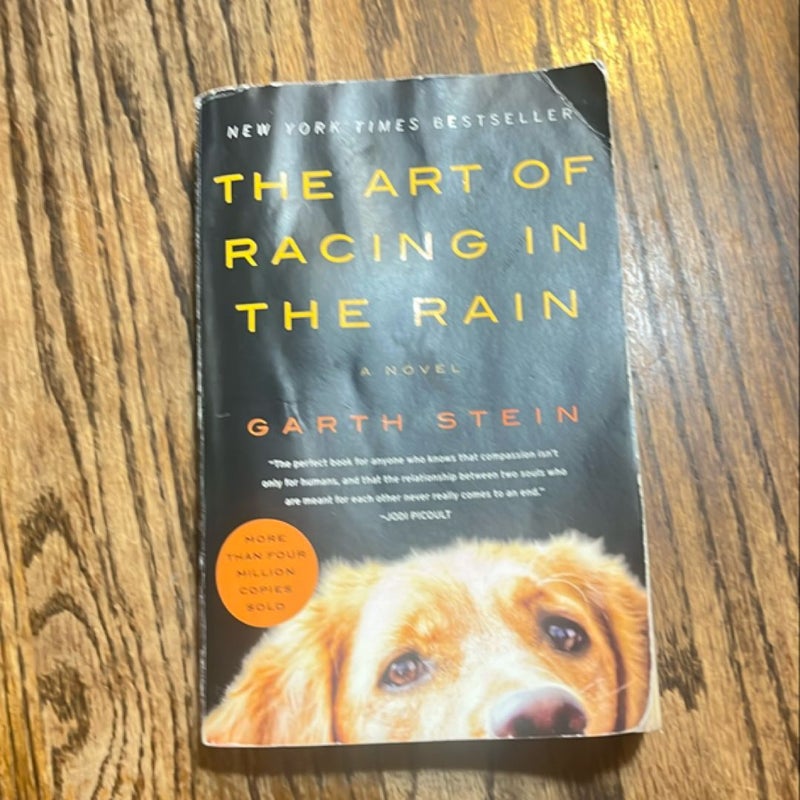 The Art of Racing in the Rain