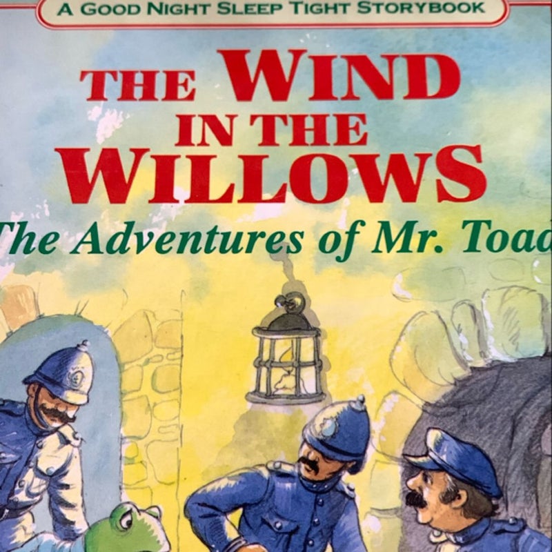 Wind in the Willows (the River Bank / the Wild Wood / the Adventures of Mr