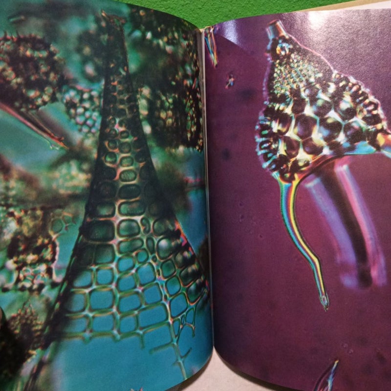 Horizon Spring 1976