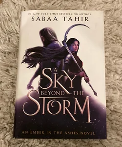 A Sky Beyond the Storm