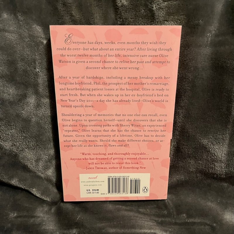 The Repeat Year by Andrea Lochen, Paperback | Pangobooks