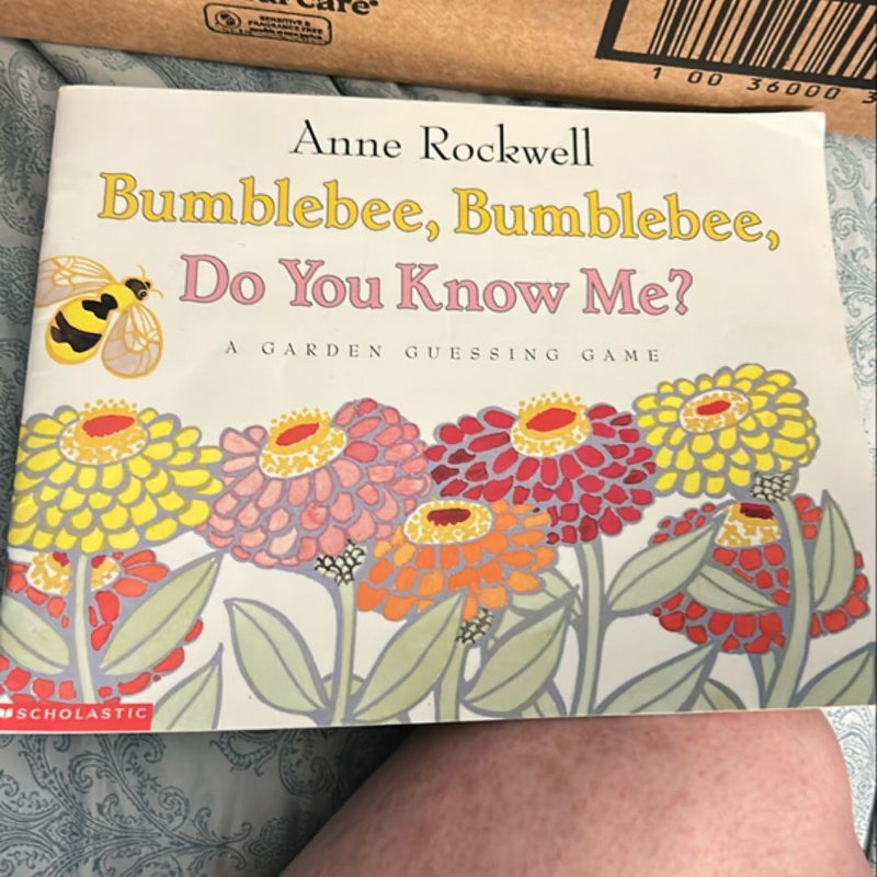 Bumblebee, bumblebee do you know me?