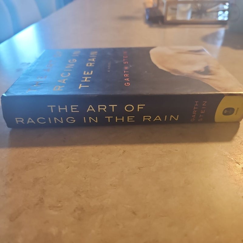 The Art of Racing in the Rain