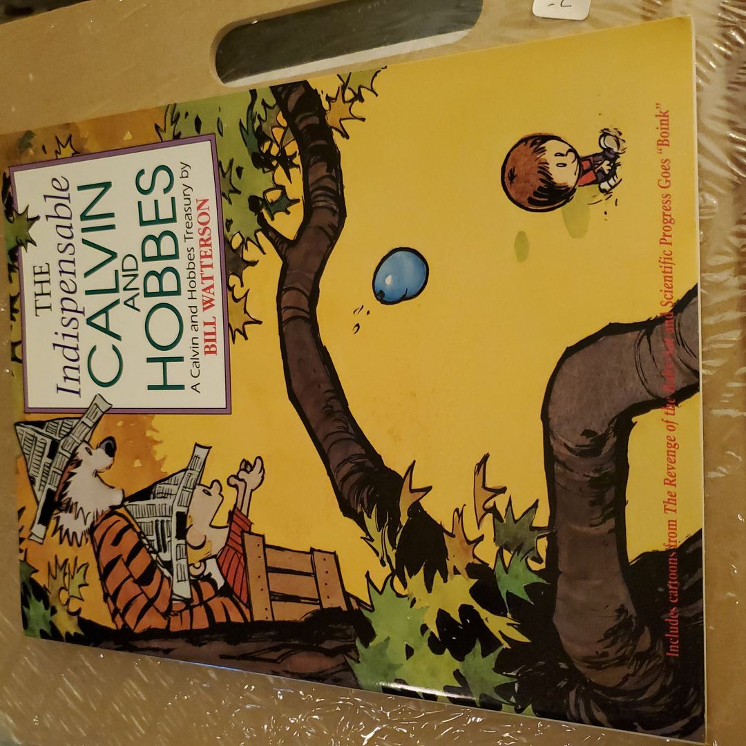 The Indispensable Calvin and Hobbes