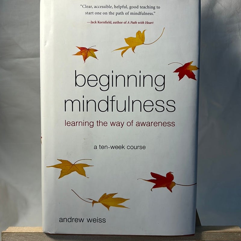 Beginning mindfulness 