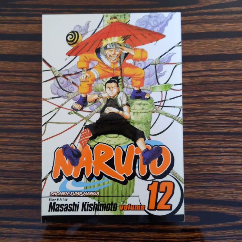 Naruto, Vol. 12