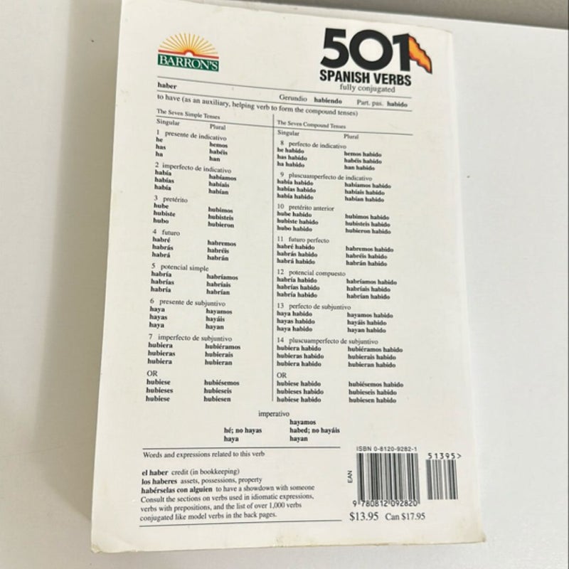 501 Spanish Verbs