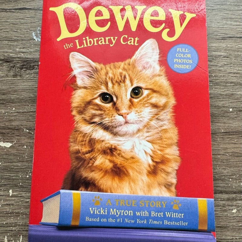 Dewey the Library Cat: a True Story