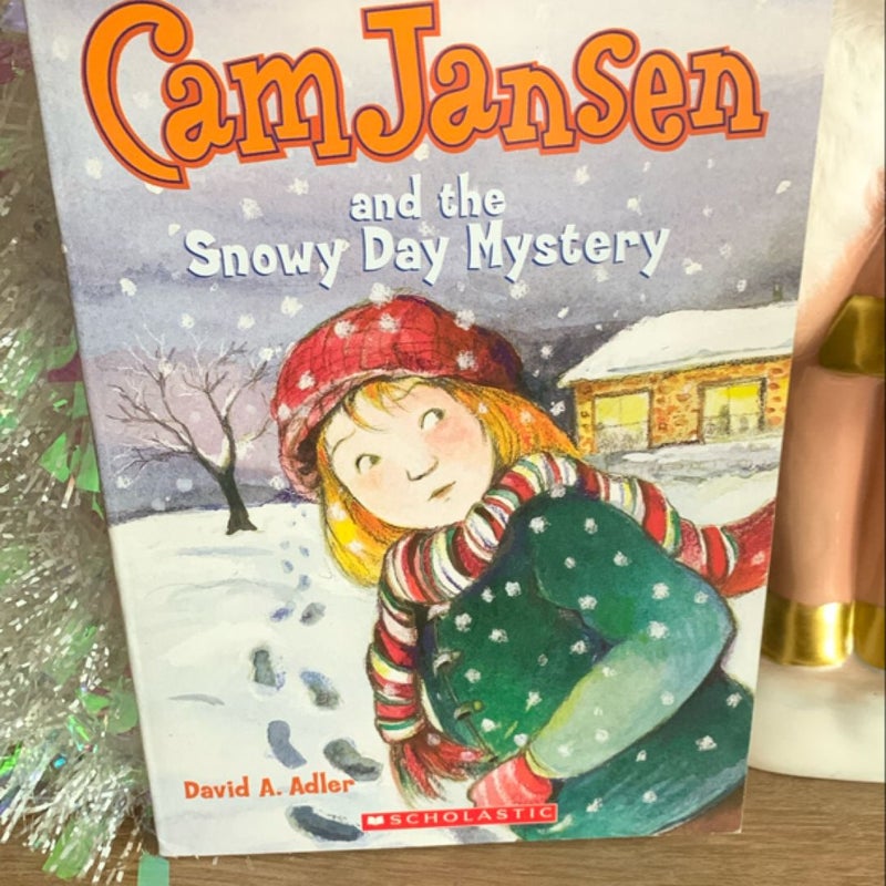 Cam Jansen and the Snowy Day Mystery