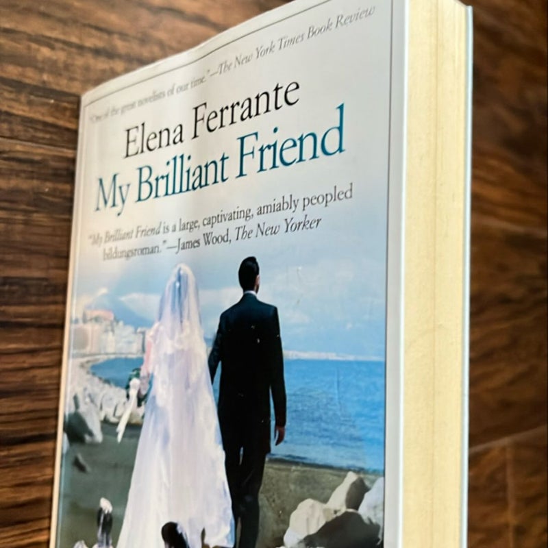 My Brilliant Friend