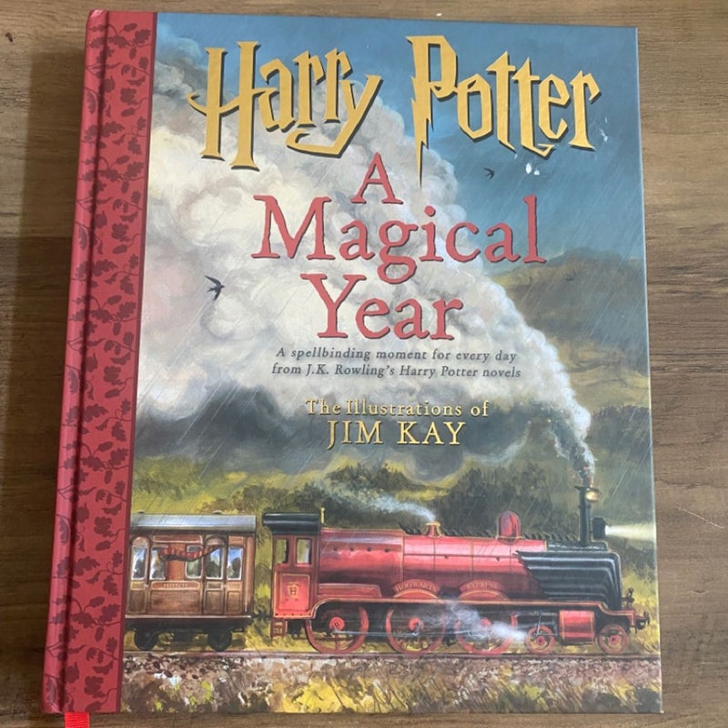 Harry Potter - A Magical Year