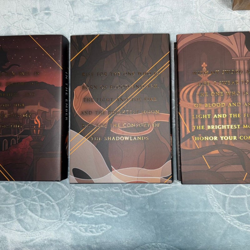 Bookish Box Flesh and Fire Series 1-3