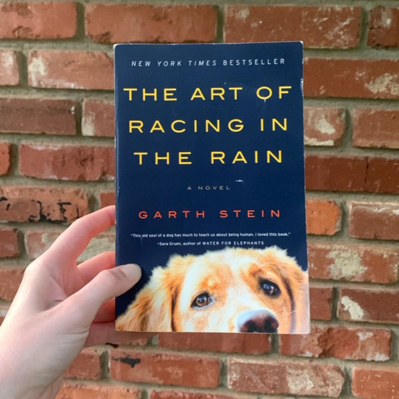 The Art of Racing in the Rain