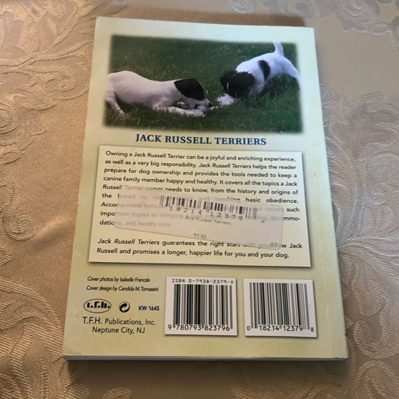 Jack Russell Terriers