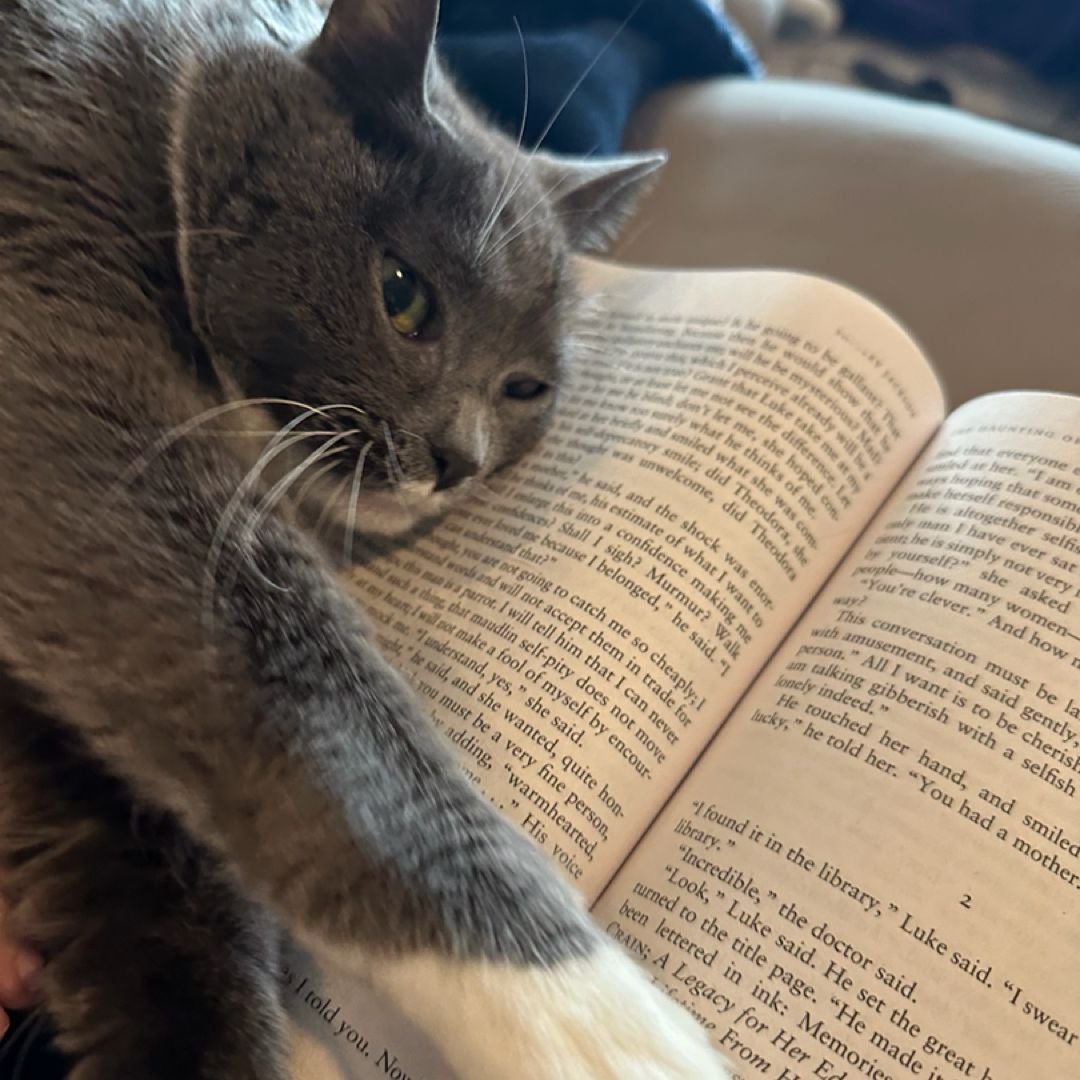 Rainey's Rainy Day Reads