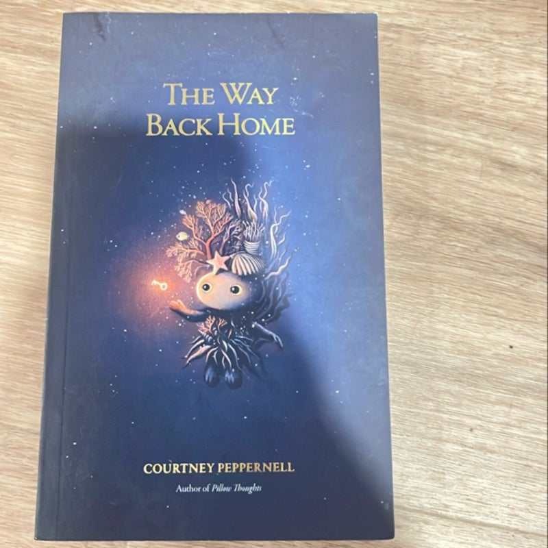 The Way Back Home