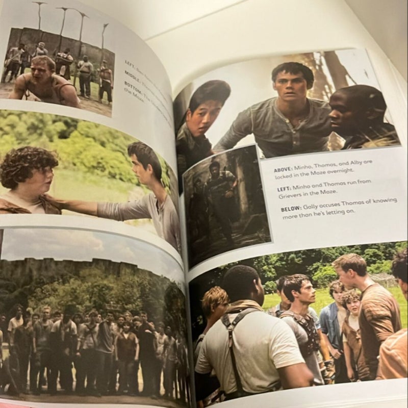 The Maze Runner Movie Tie-In Edition (Maze Runner, Book One)