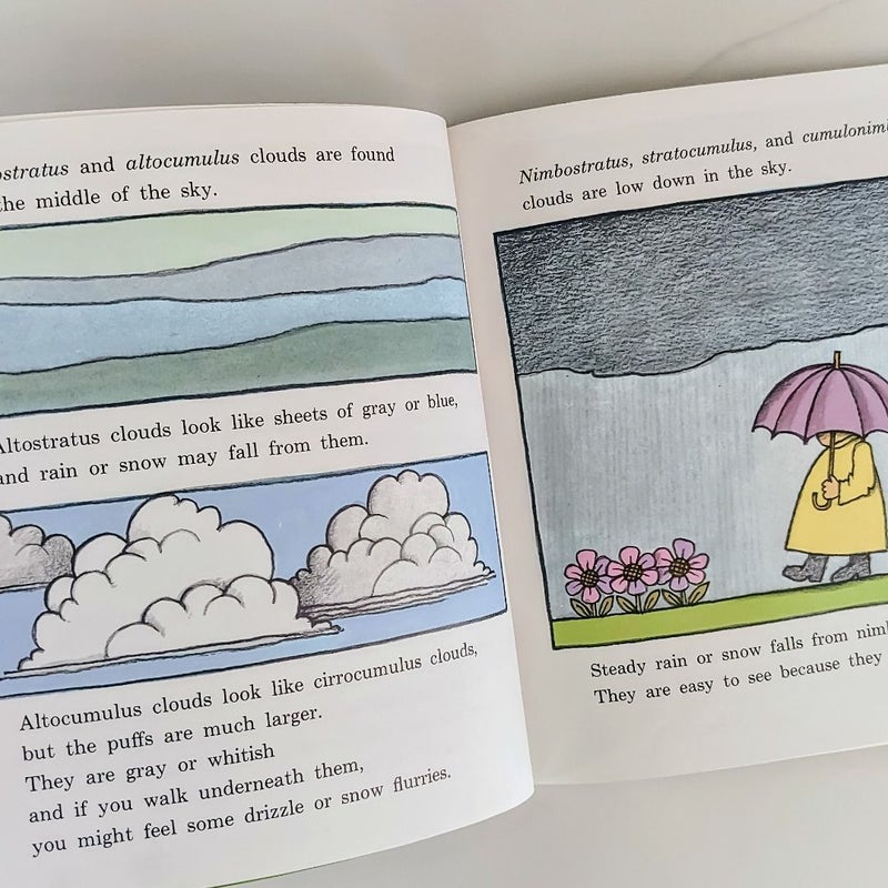 Tomie DePaola's the Cloud Book