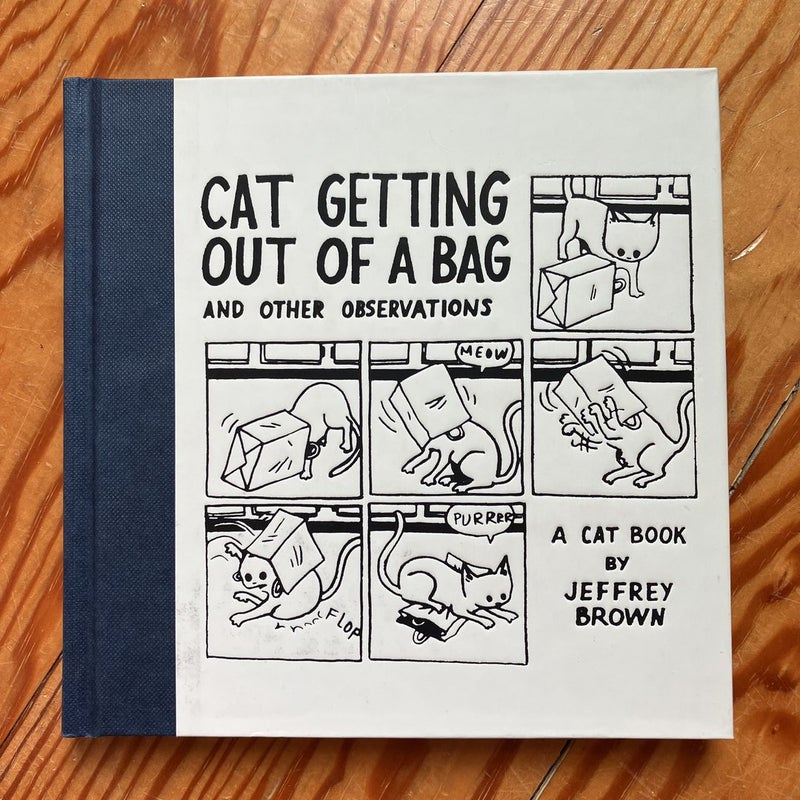 Cat Getting Out of a Bag and Other Observations