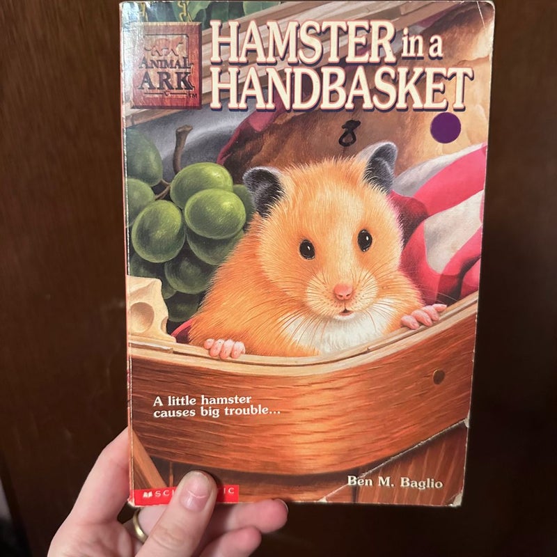 Hamster in the hand basket 