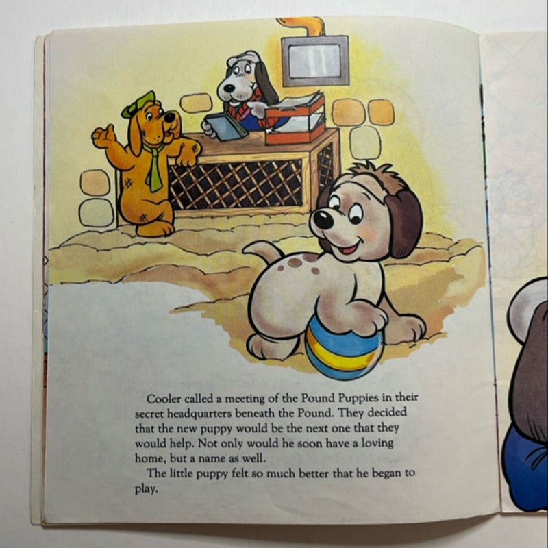 Pound Puppies The Puppy Nobody Wanted